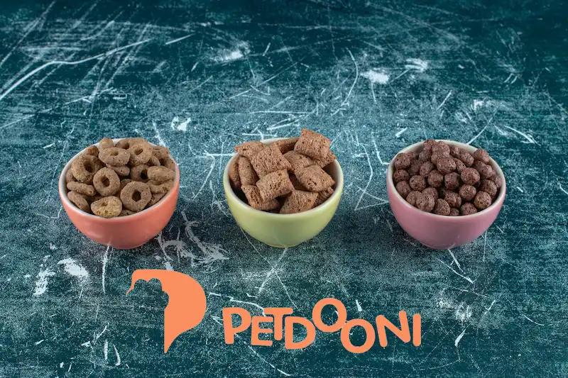 آیا غذای خانگی برای گربه خوبه یا نه؟ | معرفی غذاهای مفید برای گربه در پت شاپ آنلاین پتدونی 1404